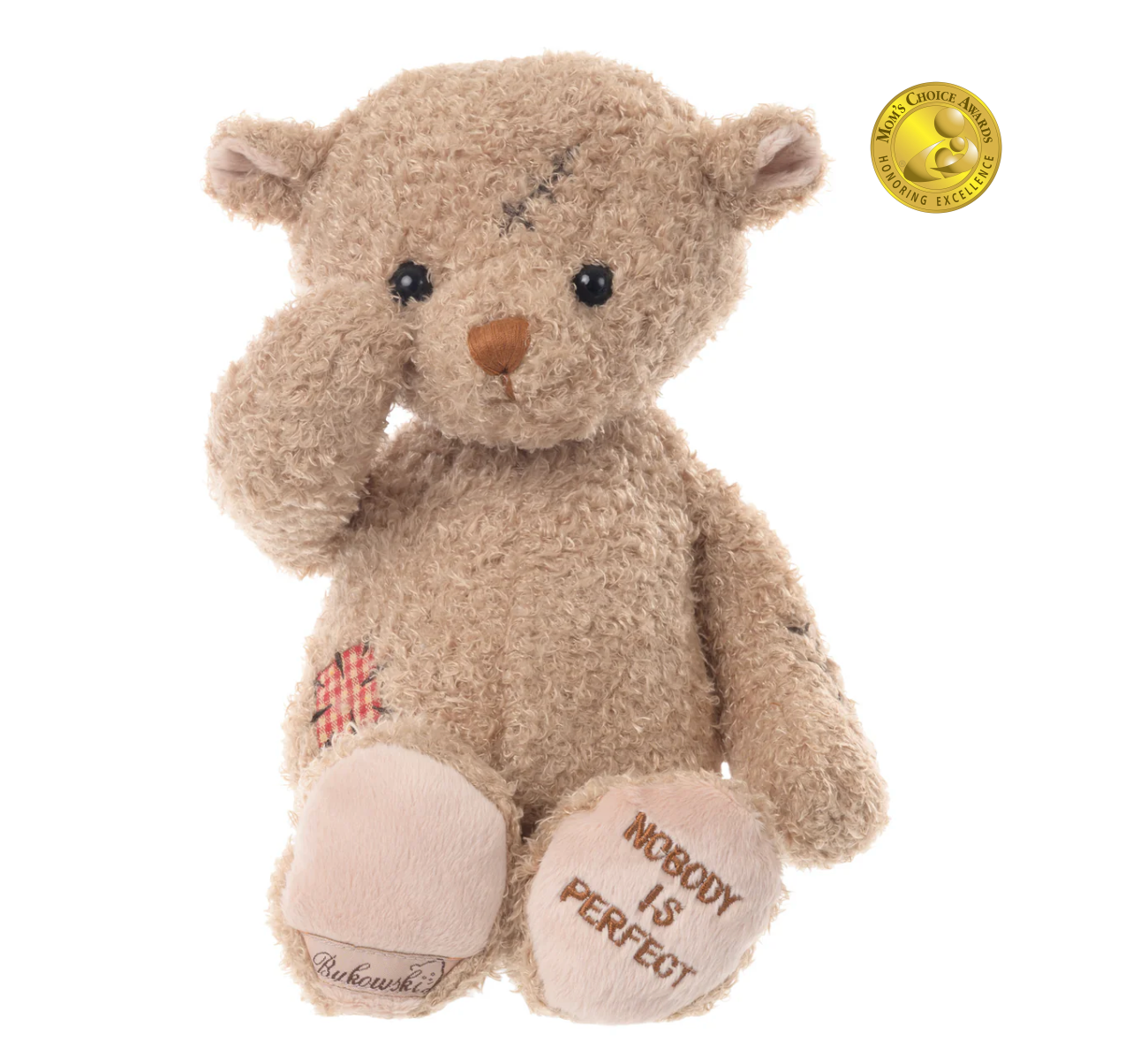 Nobody's Perfect Bear