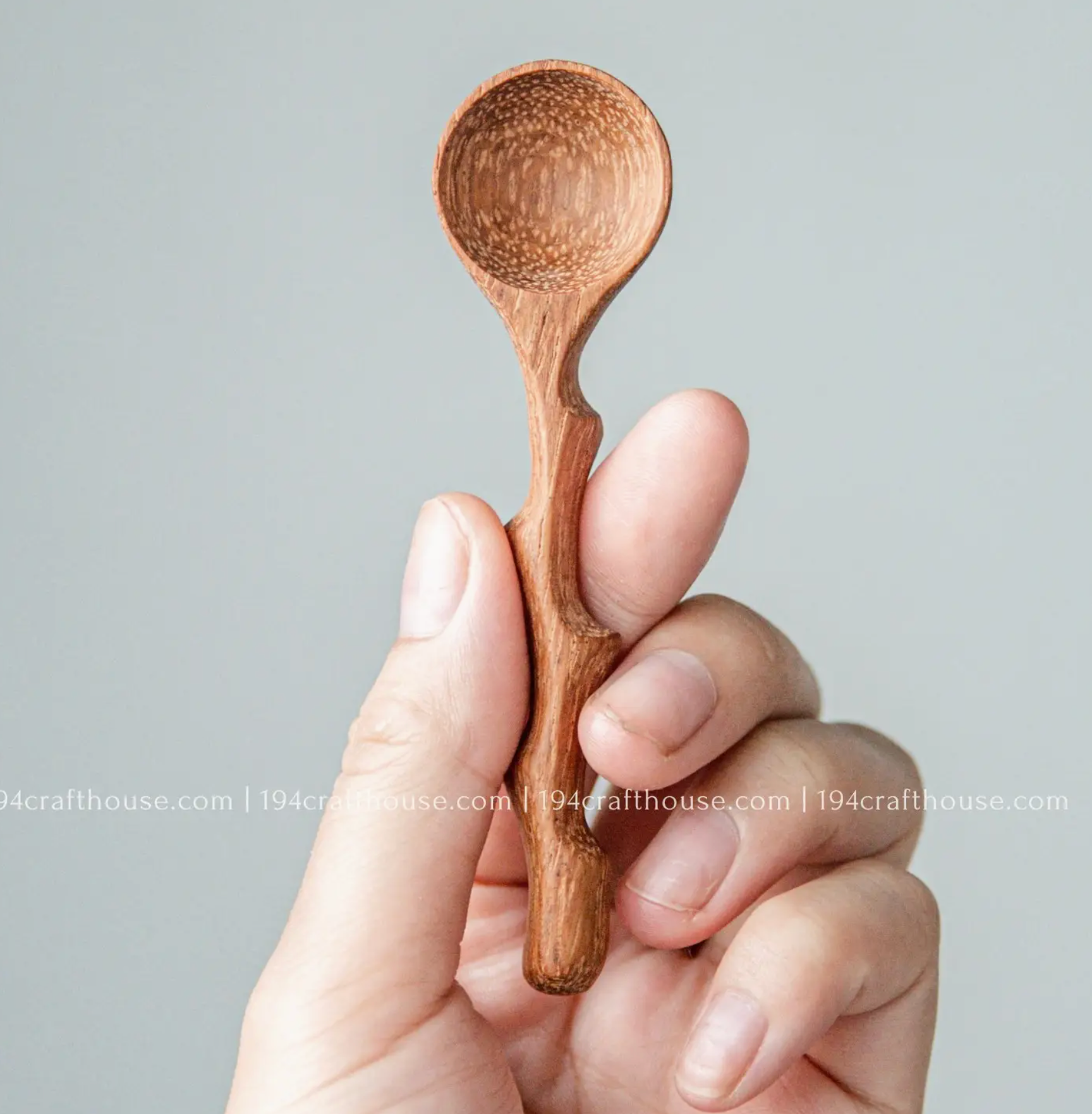 Branch Tree Wooden Spices Small Spoons - Measuring Spoons